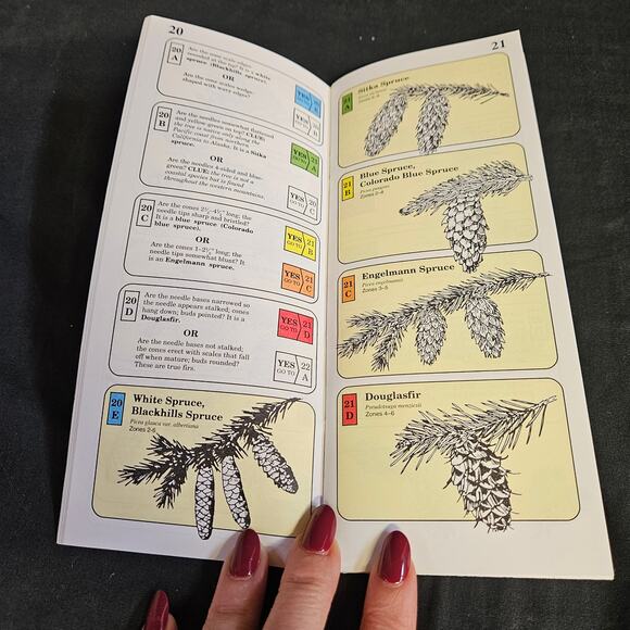 Vintage The National Arbor Day Foundation What Tree Is That Guide Lot of 10 - Picture 5 of 6